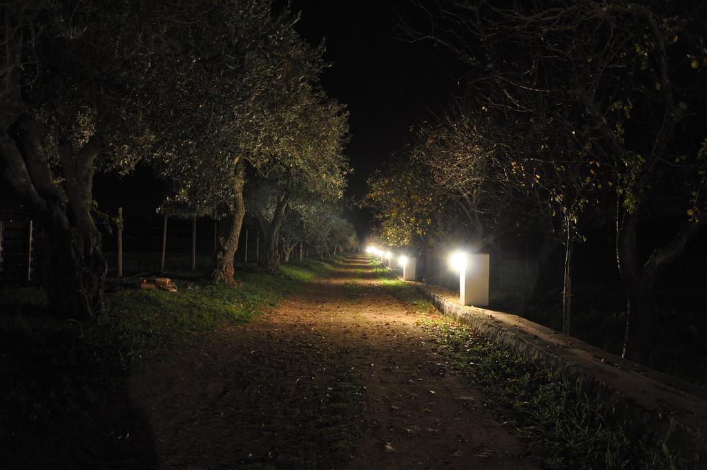 فيلا Quinta Da Sardinha الفاس المظهر الخارجي الصورة