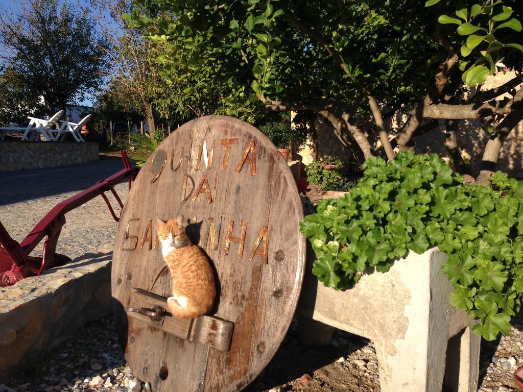 فيلا Quinta Da Sardinha الفاس المظهر الخارجي الصورة