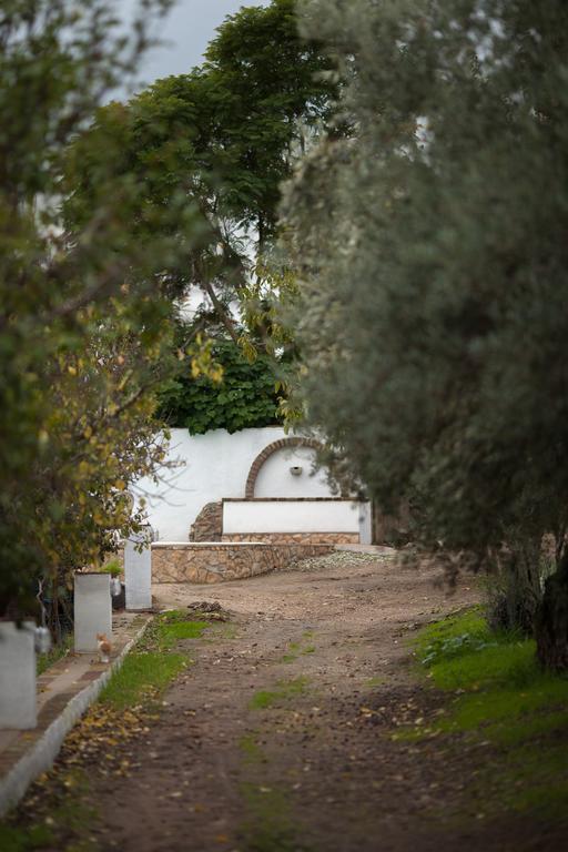فيلا Quinta Da Sardinha الفاس المظهر الخارجي الصورة