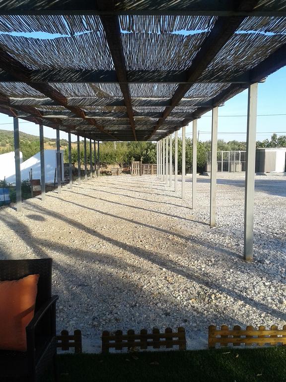 فيلا Quinta Da Sardinha الفاس المظهر الخارجي الصورة